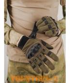 �������� ����������� �� �������� | ���� Olive